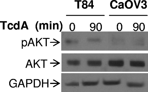 FIG. 9.