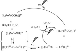 Scheme 2