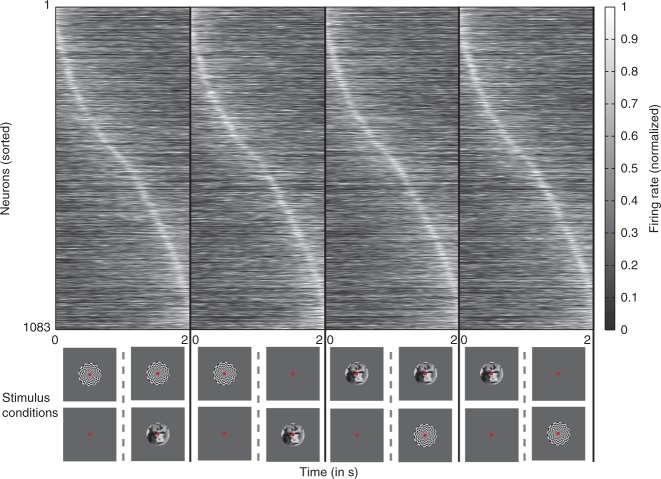 Fig. 5