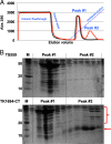 FIG 3