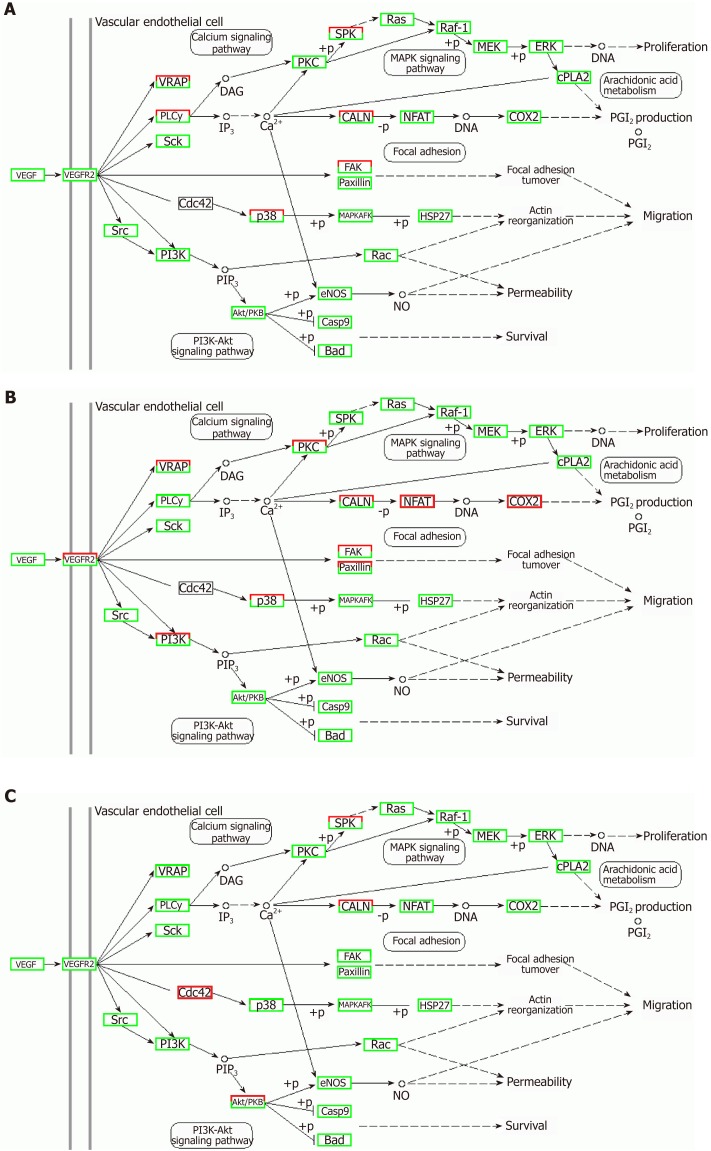 Figure 13