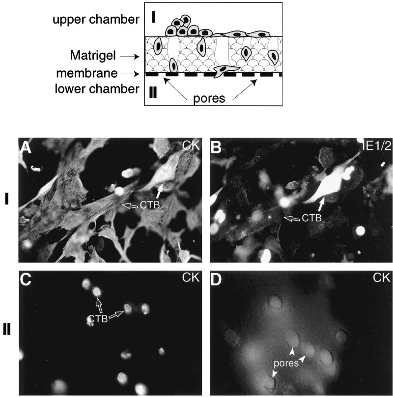 FIG. 8