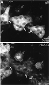FIG. 9