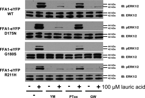 FIGURE 9.