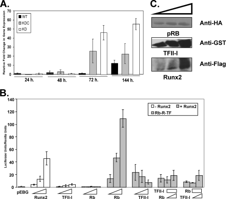 FIGURE 2.