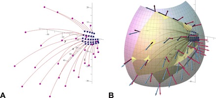 Fig. 6