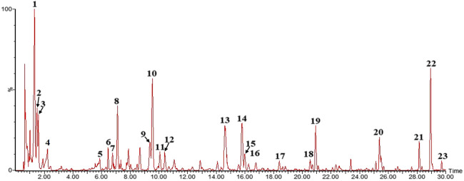 FIGURE 1