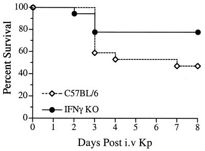 FIG. 5.