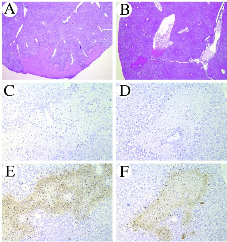 FIG. 8.