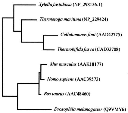 FIG. 3.