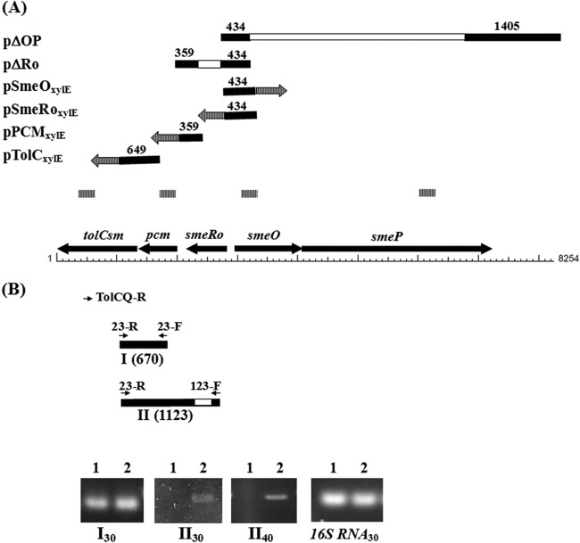 FIG 1