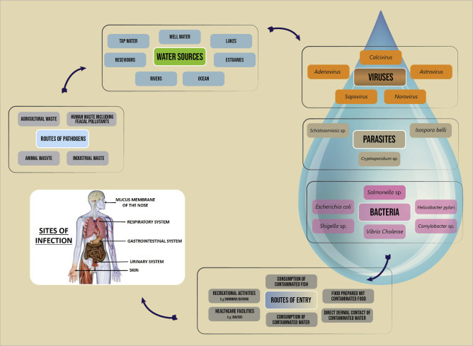 Figure 2.1