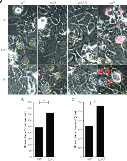 Fig 4