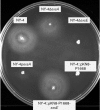 Fig. 5.