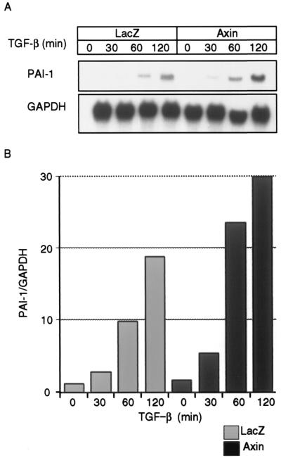 FIG. 7