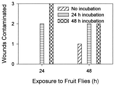 FIG. 6