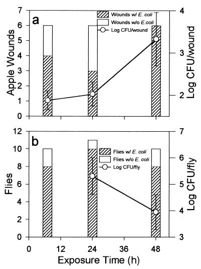 FIG. 5