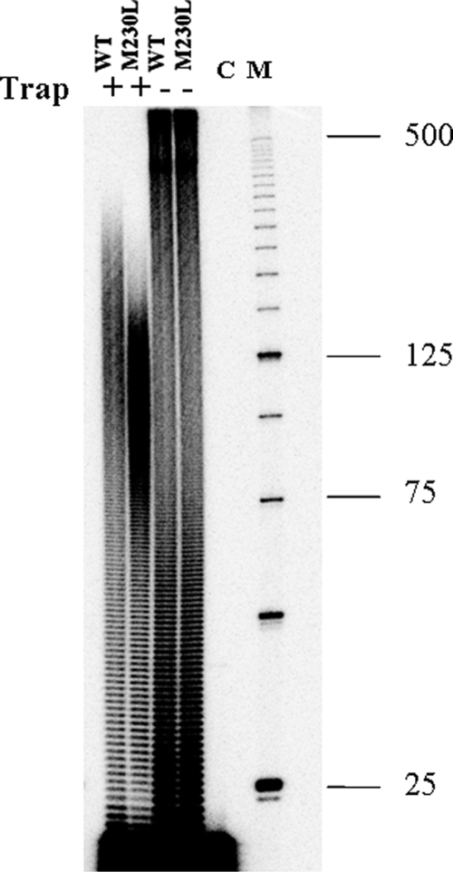 FIG. 5.