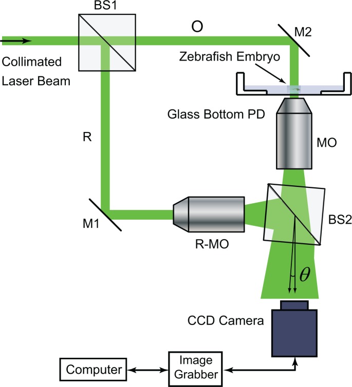 Fig. 2