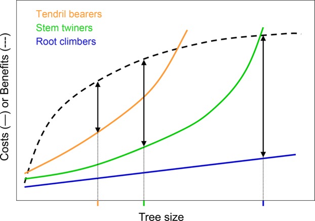 Figure 2.