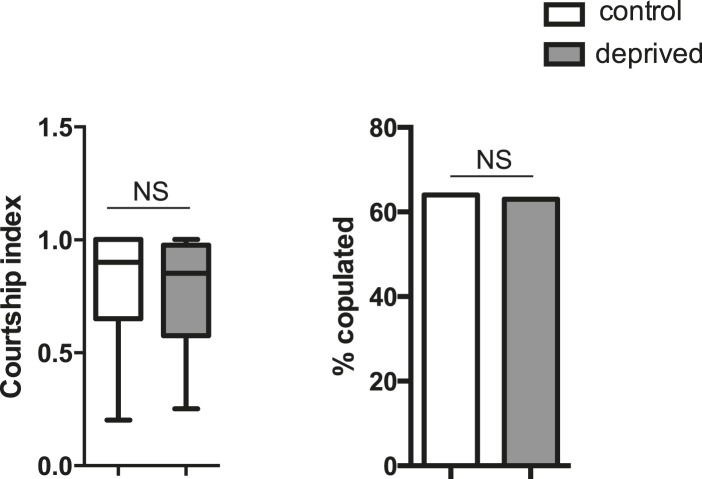 Figure 1—figure supplement 4.