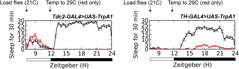 Figure 2—figure supplement 1.