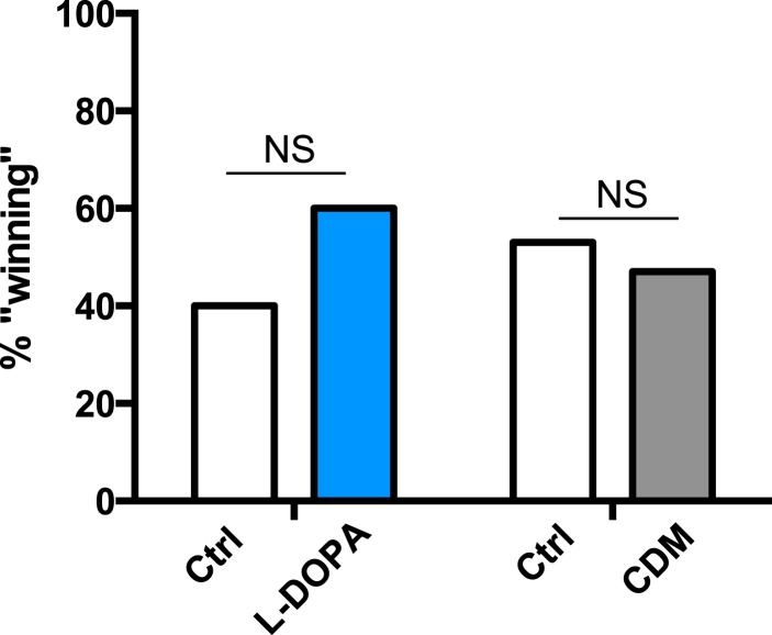 Figure 4—figure supplement 1.