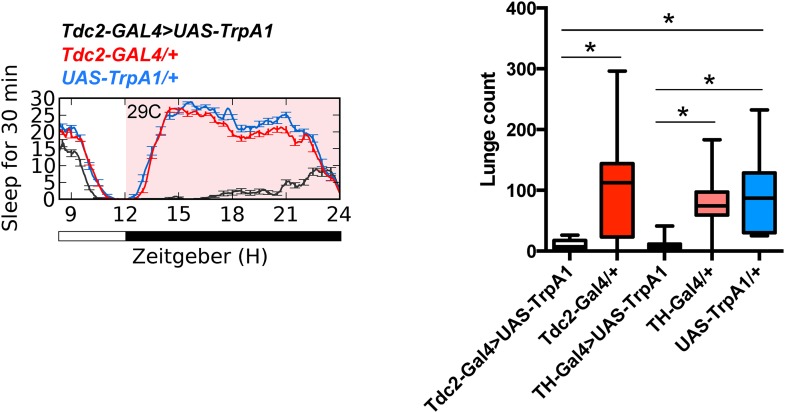 Figure 2—figure supplement 2.