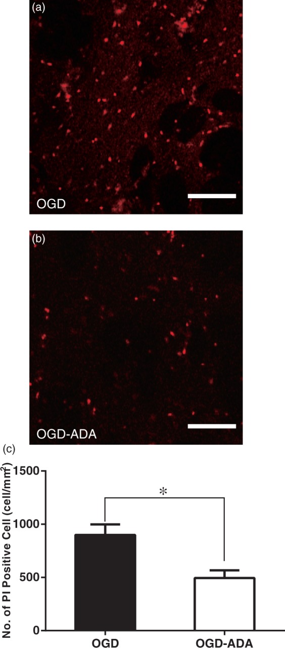 Figure 3.