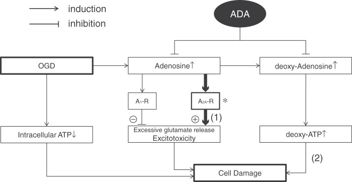 Figure 7.