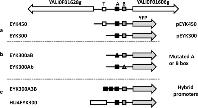 Fig. 2