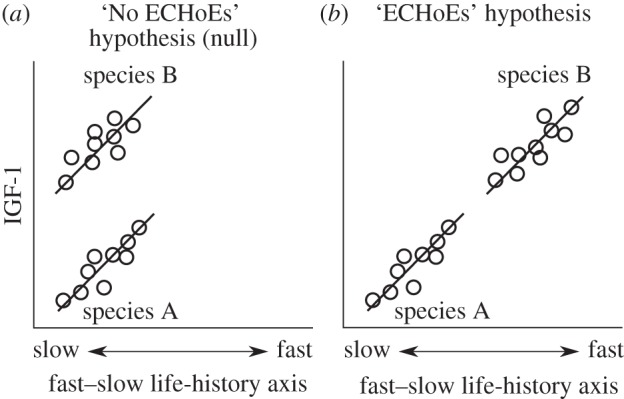 Figure 1.