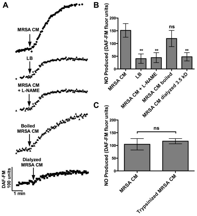 FIGURE 2