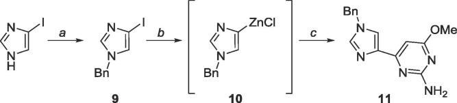 Scheme 5