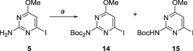 Scheme 7