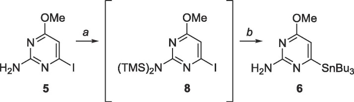 Scheme 4