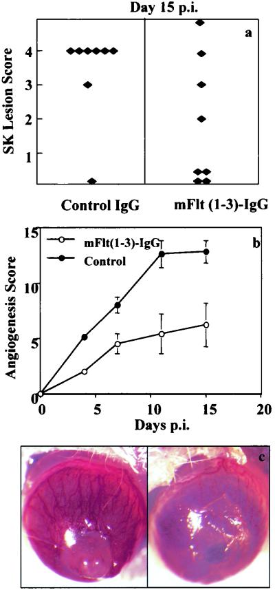 FIG. 7