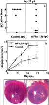 FIG. 7