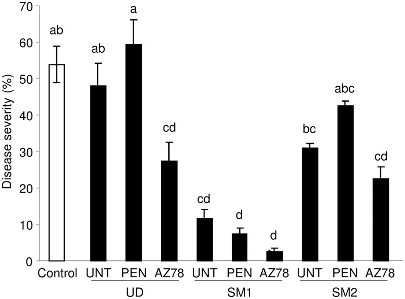 FIG 6