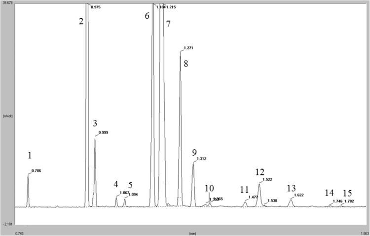 Fig. 1