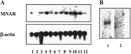 Fig 2.