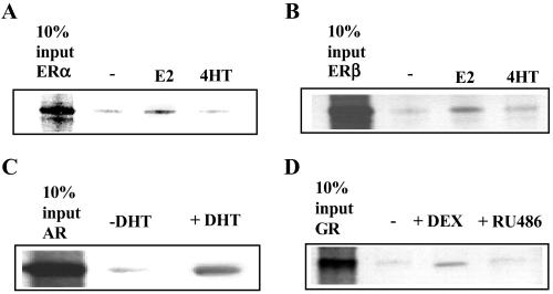 Fig 3.