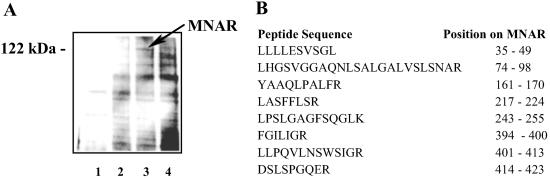 Fig 1.