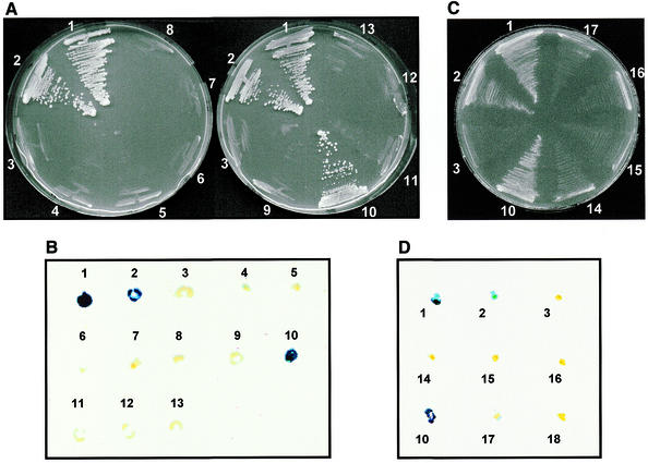 Figure 7