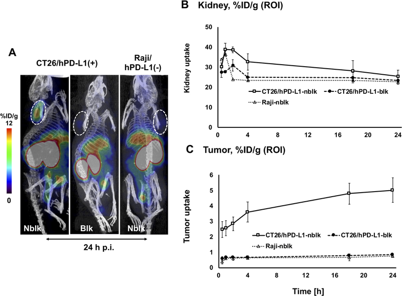 Figure 3: