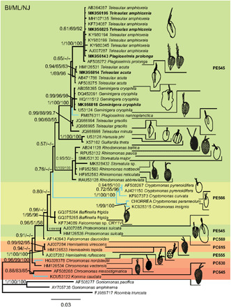 Fig. 2