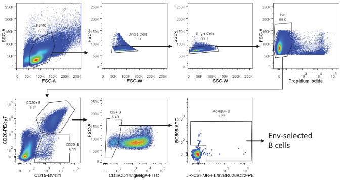 Figure 1—figure supplement 2.