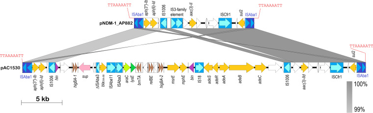 FIG 3