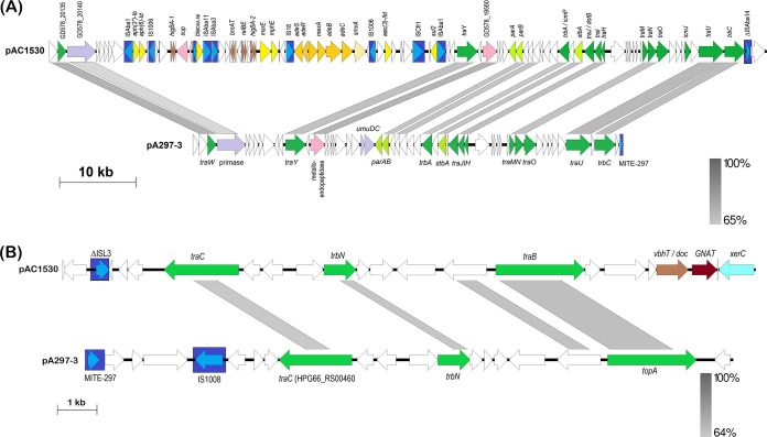 FIG 6