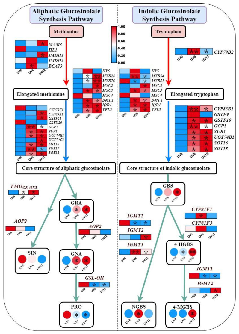 Figure 12